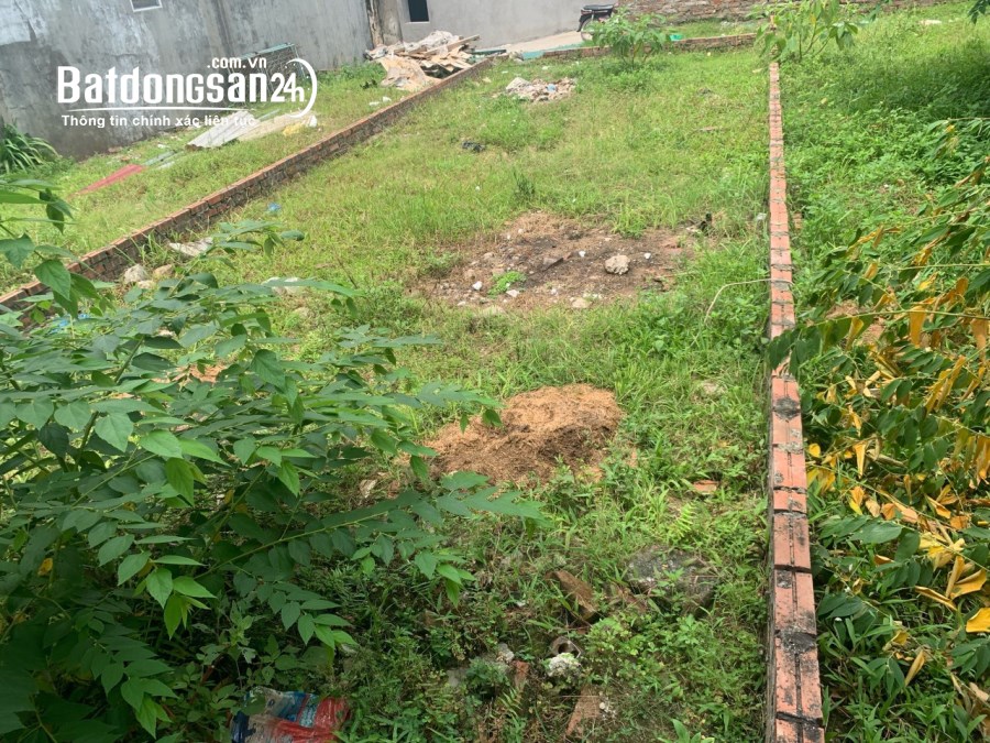 Bán đất Đường Quang Minh, Thị trấn Quang Minh, Huyện Mê Linh