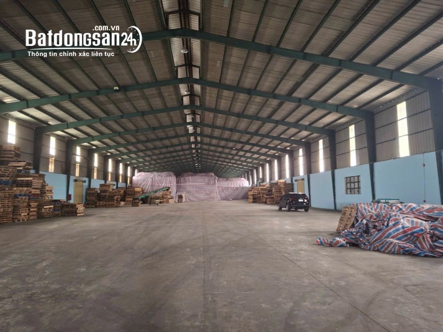 Cho thuê đất riêng, kho xưởng Đường ĐT 743, Phường An Phú, Tp - Thuận An