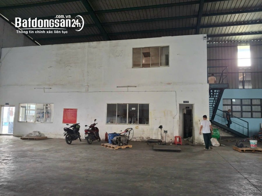 Cho thuê đất riêng, kho xưởng Đường ĐT 743, Phường An Phú, Tp - Thuận An