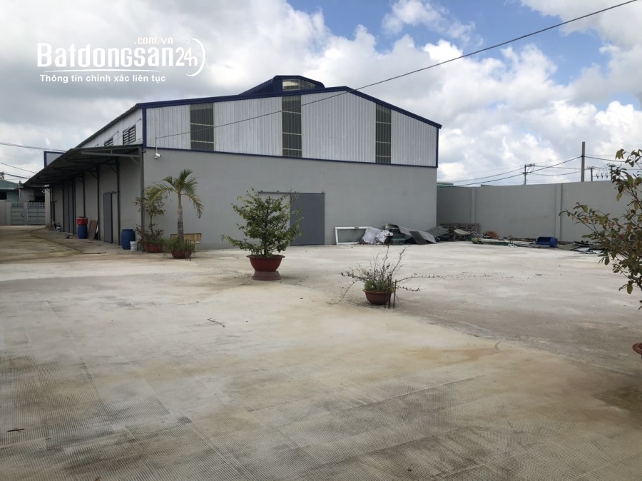 CHO THUÊ KHO 812M2 SẴN ĐIỆN 3 PHA, ĐƯỜNG HOÀNG THỊ LOAN 