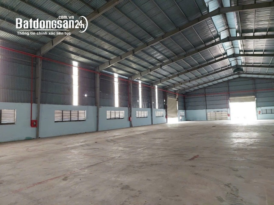 Cho thuê đất riêng, kho xưởng Đường ĐT 745, Xã Thạnh Phước, Thị xã Tân Uyên