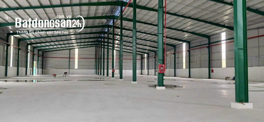 Cho thuê đất riêng, kho xưởng Đường 13, Phường Mỹ Phước, Tp Bến Cát