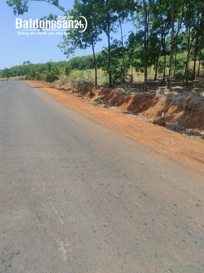 Bán đất Đường ĐT 753, Xã Tân Phước, Huyện Đồng Phú