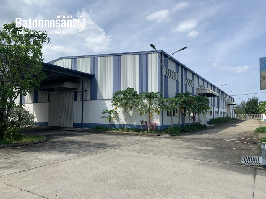 CHO THUÊ 2 KHO DIỆN TÍCH 330M2 VÀ 550M2 GIÁ CHỈ 45K/M2, ĐƯỜNG TÚY LOAN TP ĐÀ NẴNG