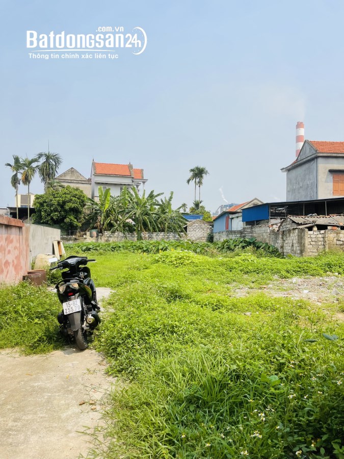 Bán đất Đường 359, Xã Tam Hưng, Huyện Thuỷ Nguyên