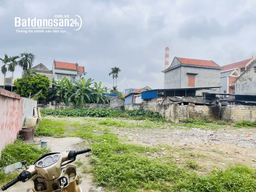 Bán đất Đường 359, Xã Tam Hưng, Huyện Thuỷ Nguyên