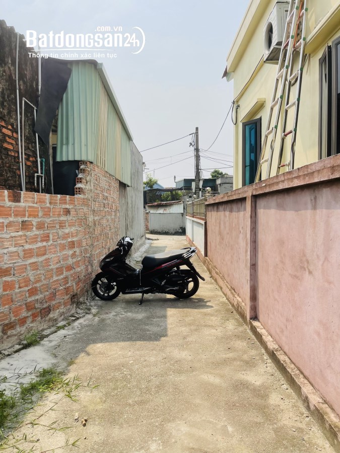 Bán đất Đường 359, Xã Tam Hưng, Huyện Thuỷ Nguyên