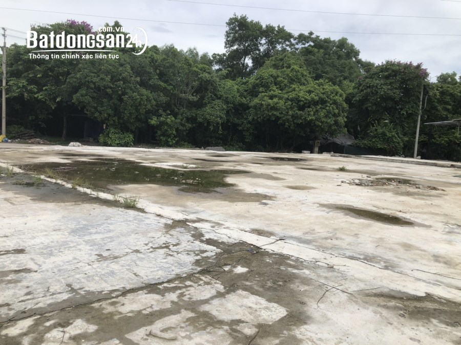Bán đất Đường Bùi Xuân Phái, Phường Thủy Dương, Thị xã Hương Thuỷ