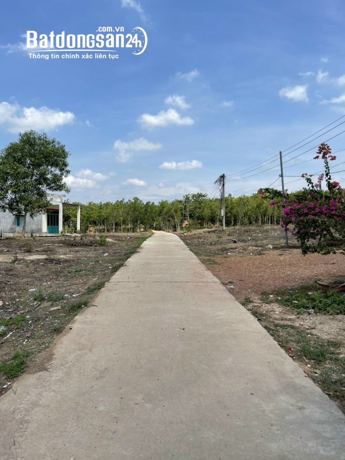 Bán đất Đường ĐT 753, Xã Tân Hưng, Huyện Đồng Phú