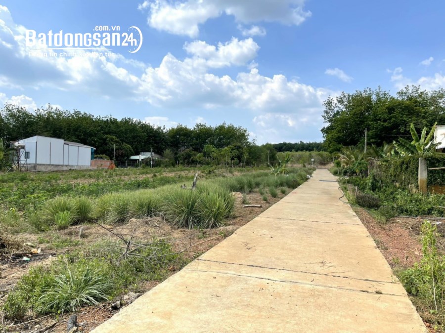 Bán đất Đường ĐT 753, Xã Tân Hưng, Huyện Đồng Phú