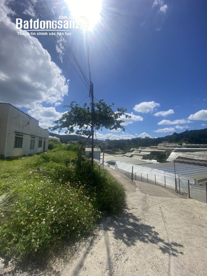 BÁN LÔ ĐẤT VIEW THOÁNG KHU AN SƠN PHƯỜNG 4 