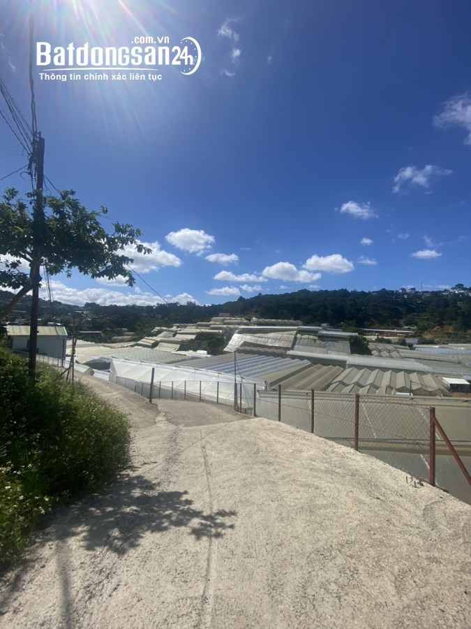 BÁN LÔ ĐẤT VIEW THOÁNG KHU AN SƠN PHƯỜNG 4 