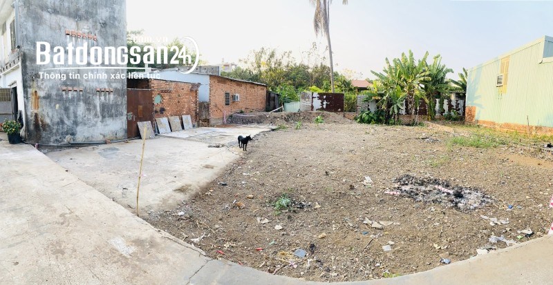 TIN THẬT:Đinh cư bán 300m2 thổ cư,hẻm xe hơi,15x18 Quốc lộ 13,Hiệp Bình Phước,Thủ Đức