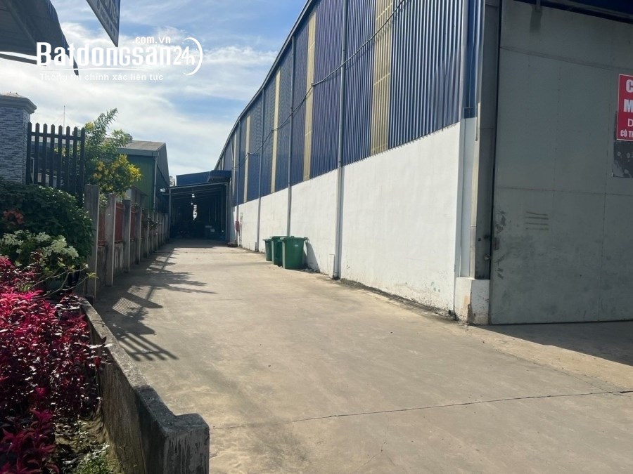 Cho thuê đất riêng, kho xưởng Đường Bùi Trọng Nghĩa, Phường Trảng Dài, TP Biên Hòa