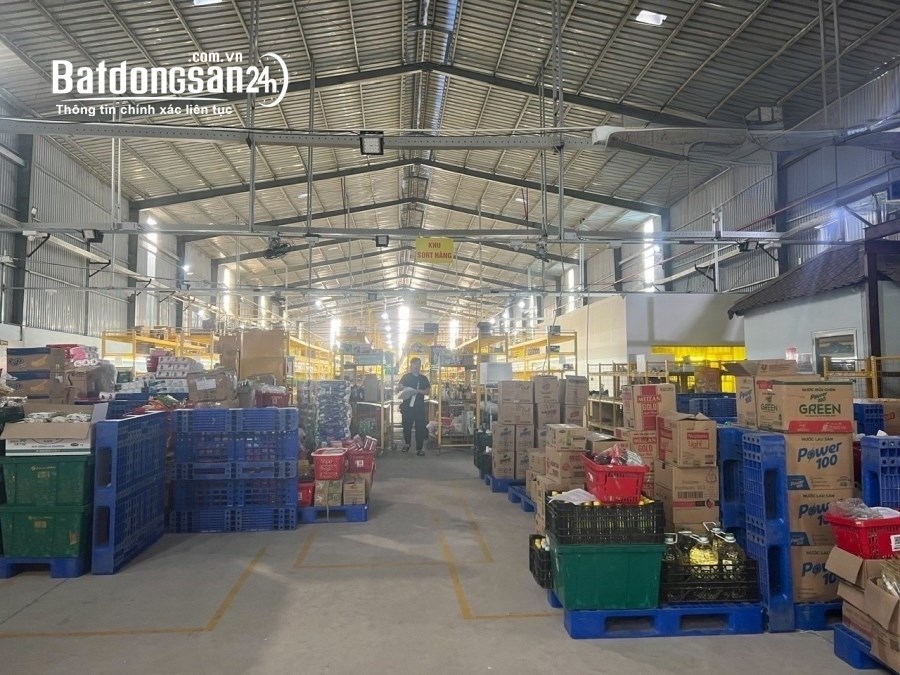 Cho thuê đất riêng, kho xưởng Đường Bùi Trọng Nghĩa, Phường Trảng Dài, TP Biên Hòa
