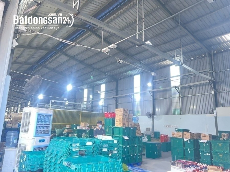 Cho thuê đất riêng, kho xưởng Đường Bùi Trọng Nghĩa, Phường Trảng Dài, TP Biên Hòa