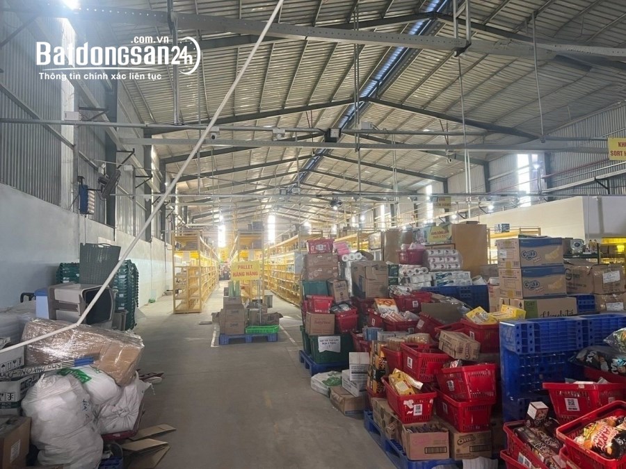 Cho thuê đất riêng, kho xưởng Đường Bùi Trọng Nghĩa, Phường Trảng Dài, TP Biên Hòa