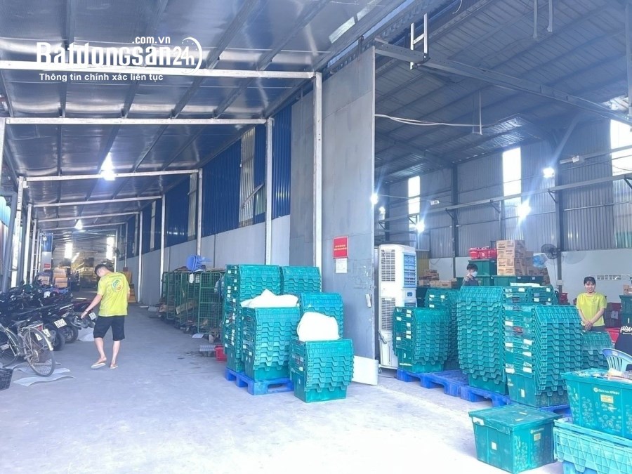 Cho thuê đất riêng, kho xưởng Đường Bùi Trọng Nghĩa, Phường Trảng Dài, TP Biên Hòa