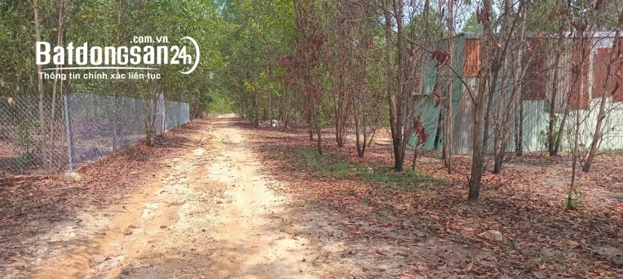 Bán lô đất giá CN 190 triệu, gần KCN lớn, P. Long Bình, BH - Dt 5*20m, đường 6