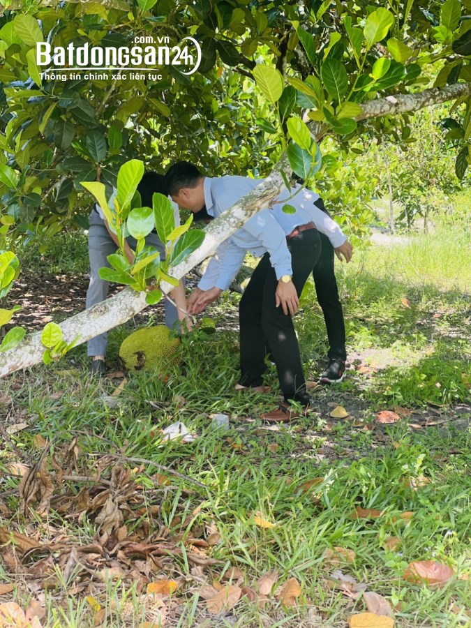 Bán đất Đường Quốc lộ 13, Xã Minh Thắng, Huyện Chơn Thành