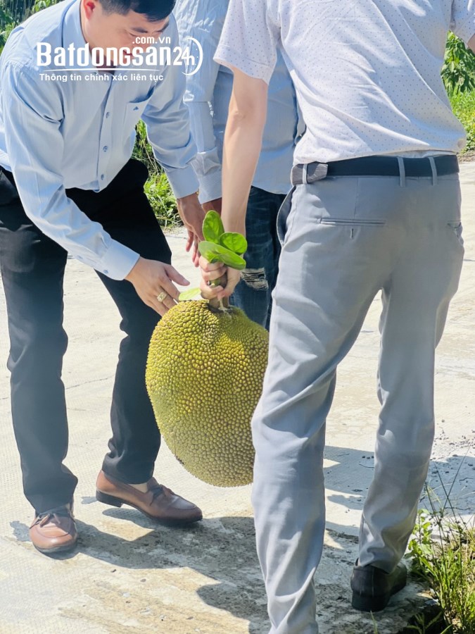 Bán đất Đường Quốc lộ 13, Xã Minh Thắng, Huyện Chơn Thành