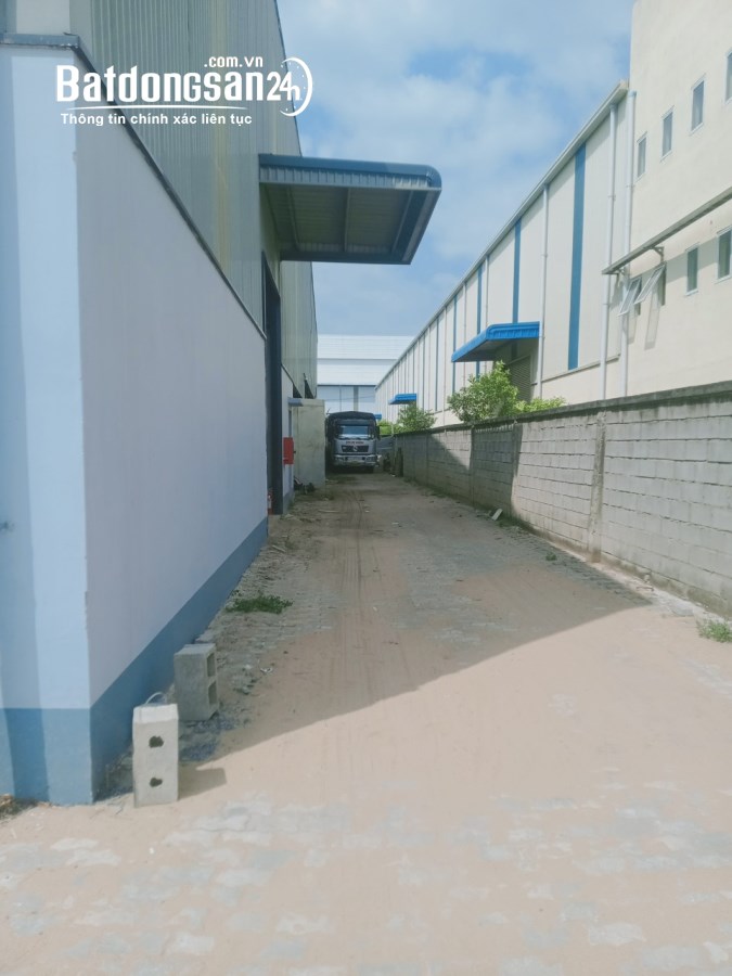Bán kho xưởng, trang trại Đường 9, Xã Nhị Thành , Huyện Thủ Thừa