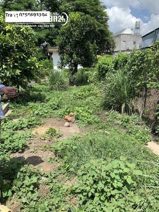 140m2 sổ riêng thổ cư 100% cách đường 768 50m