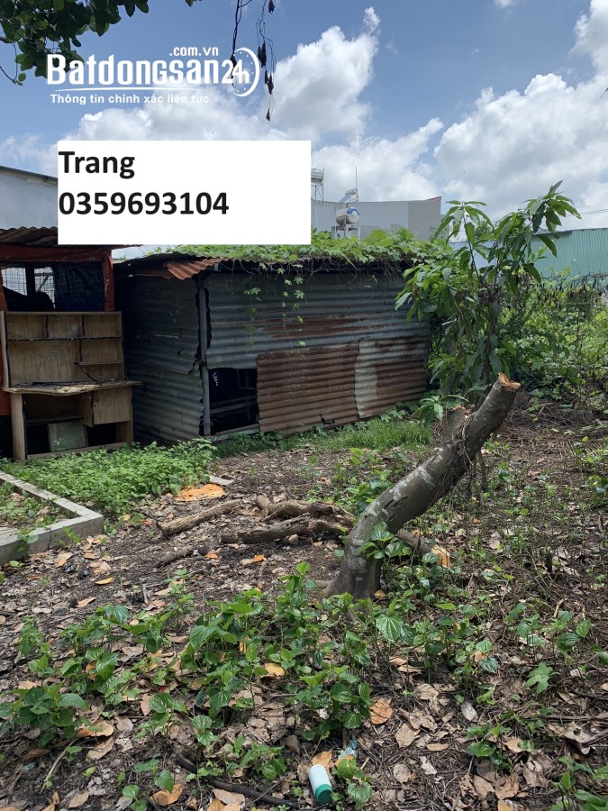 140m2 sổ riêng thổ cư 100% cách đường 768 50m