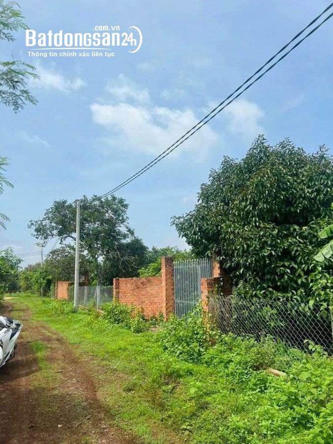 Bán đất Đường ĐT 741, Xã Tân Tiến, Huyện Đồng Phú