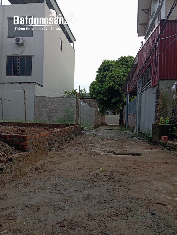 Bán đất Đường Kim Anh, Xã Thanh Xuân, Huyện Sóc Sơn