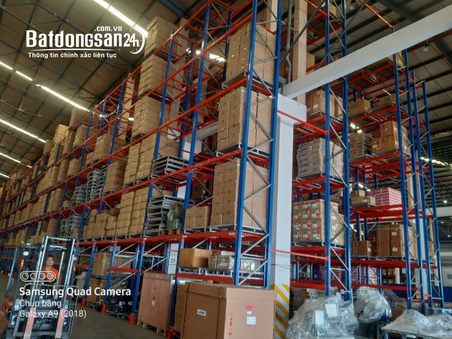 Cho thuê kho chứa hàng có sãn kệ 6 tầng trong KCN Dĩ An, Bình Dương 