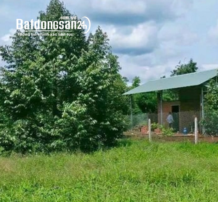 chính chủ cần Bán gấp lô đất Đường ĐT 741, Huyện Đồng Phú 1000 m2 