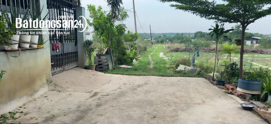 Lô đất  giá ngộp Đầu tư, DT; 100m, Đường Phan Đăng Lưu, giáp KCN Hố Nai 3