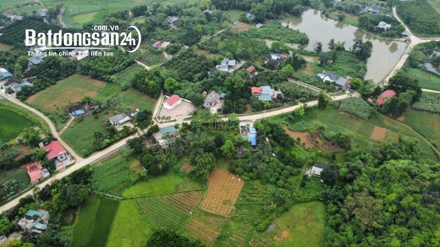 Chỉ Hơn 400 Triệu Lô Đất Bám Sát Đường Hồ Chí Minh, Xã Hợp Thanh