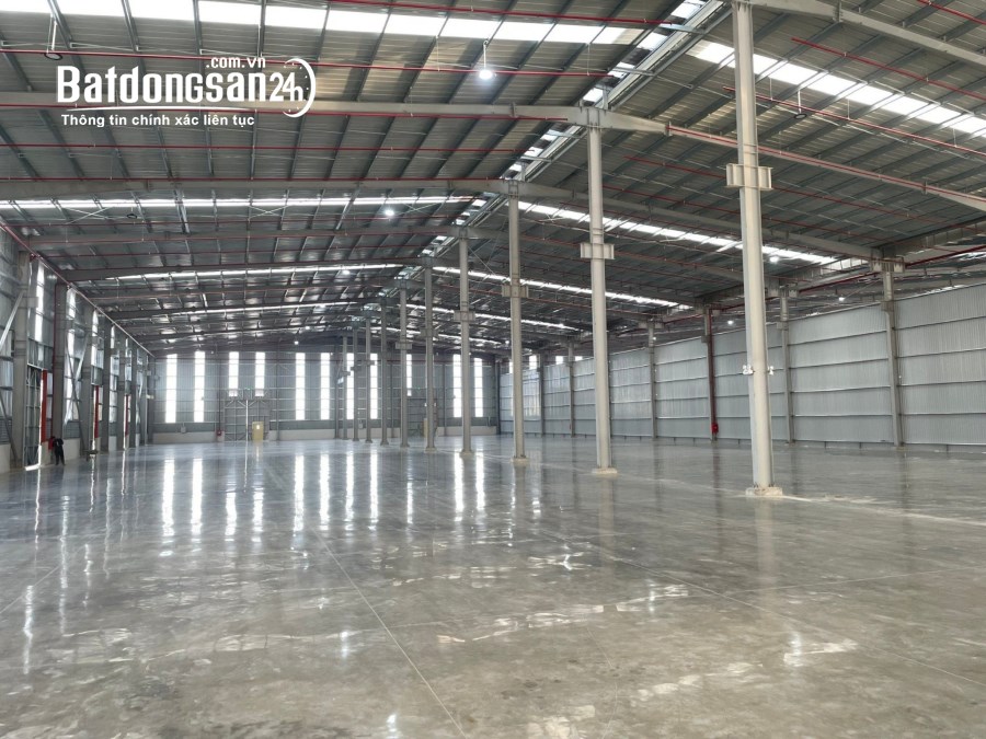 Cho thuê đất riêng, kho xưởng Đường 19, Xã Long Cang, Huyện Cần Đước