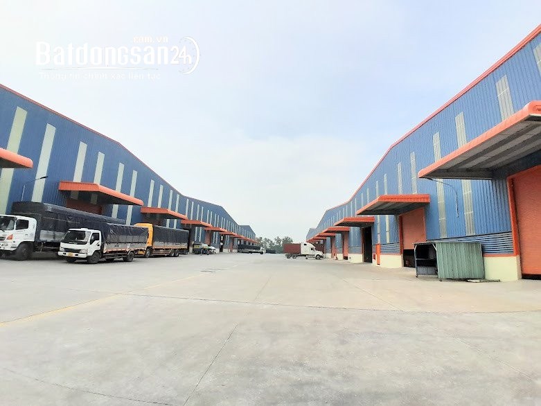 Cho thuê đất riêng, kho xưởng Đường 19, Xã Long Cang, Huyện Cần Đước