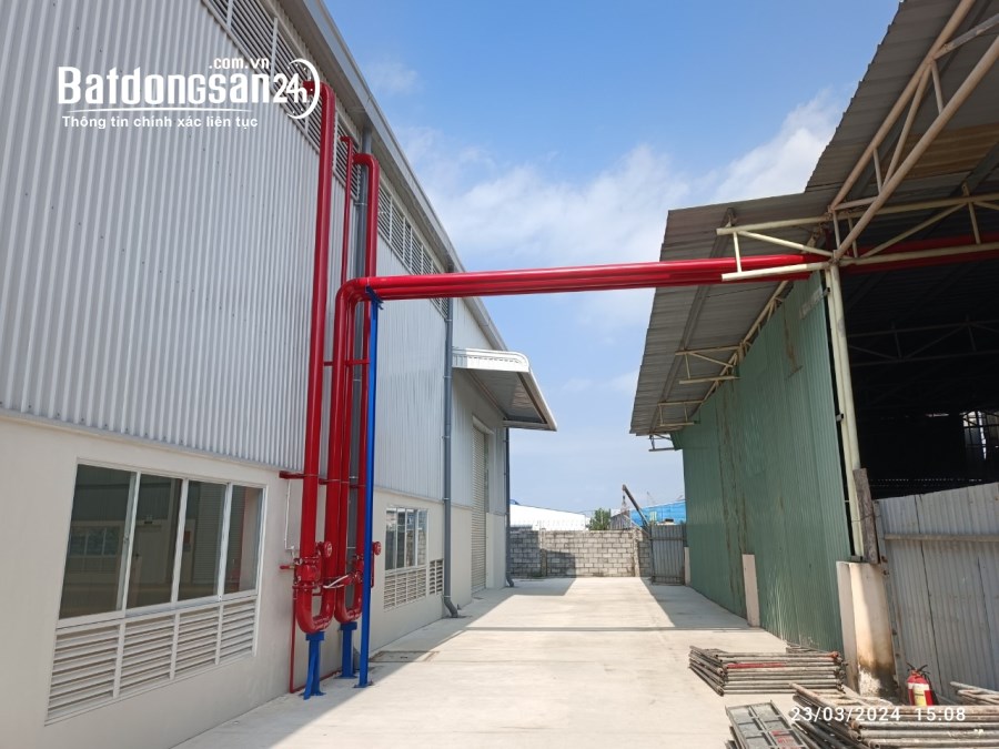 Cho thuê đất riêng, kho xưởng Đường 10, Xã An Thạnh, Huyện Bến Lức