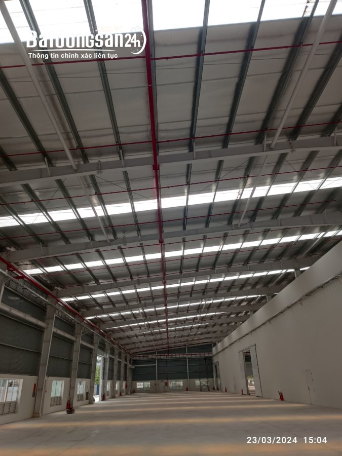 Cho thuê đất riêng, kho xưởng Đường 10, Xã An Thạnh, Huyện Bến Lức
