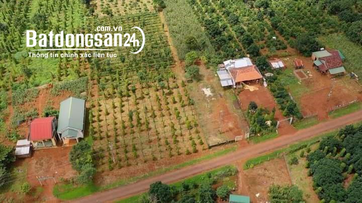 Bán đất Đường ĐT 753, Xã Tân Lợi, Huyện Đồng Phú