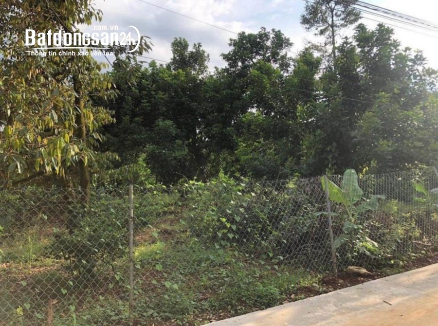 Bán đất Đường ĐT 741, Xã Tân Lập, Huyện Đồng Phú