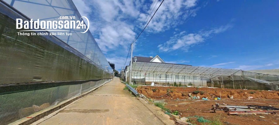 BÁN ĐẤT SỔ RIÊNG GIÁ TỐT ĐƯỜNG VẠN HẠNH PHƯỜNG 8  •	