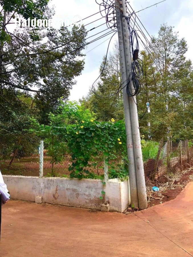 Bán đất Đường Quốc lộ 14, Phường Tân Thiện, Tp Đồng Xoài