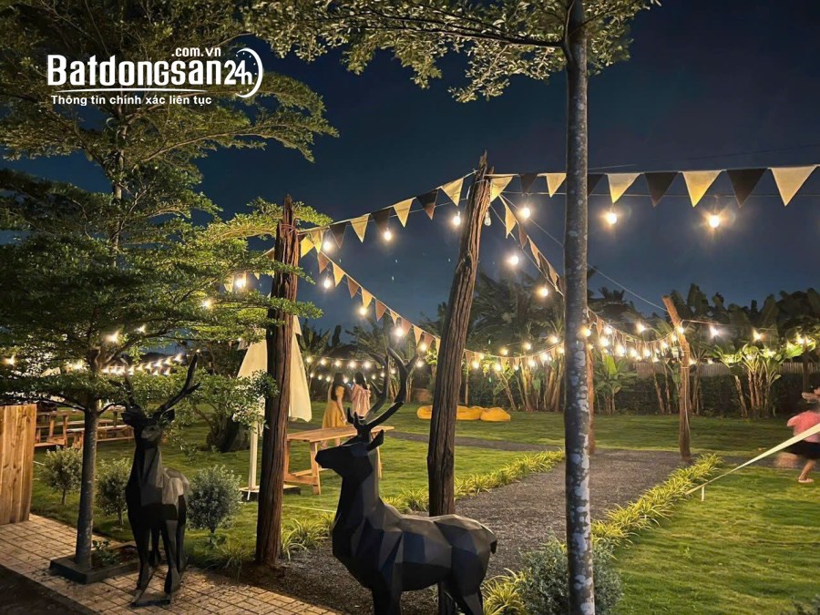 CHÚ EM CÓ LÔ ĐẤT 84M2 NGAY TRUNG TÂM BIÊN HÒA CẦN BÁN