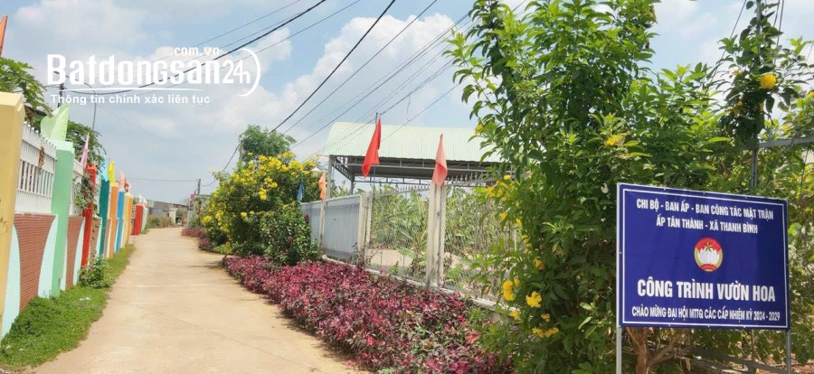 Bán Đất Trảng Bom, SH thổ cư, xd tự do, cách Nguyễn Hoàng 300m, DT; 100m, đường 5m