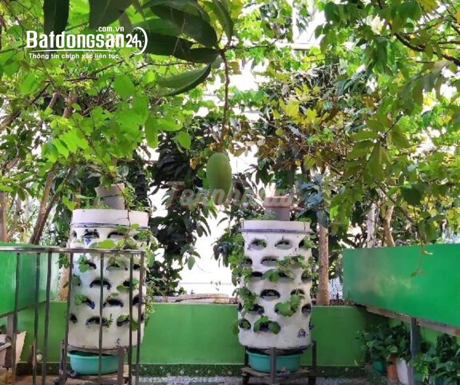 Bán nhà Đường Hoàng Đạo Thành, Phường Kim Giang, Quận Thanh Xuân