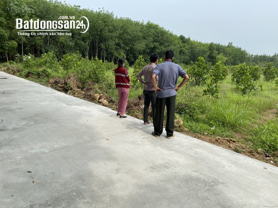 Bán Đất Xã Suối Nho Định Quán Đồng Nai 580 triệu