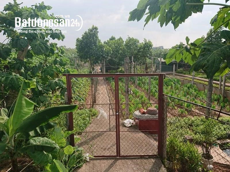 Bán đất Đường Liên Xã, Xã Duyên Hà, Huyện Thanh Trì