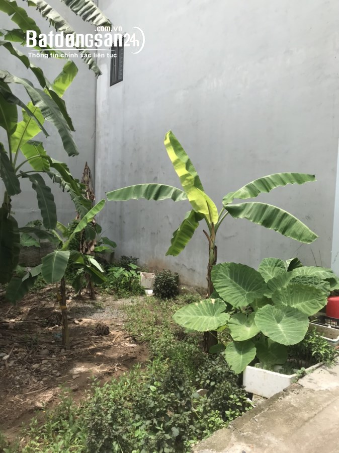 Bán đất Yên Nghĩa, Hà Đông 36m2 giá 2,3 tỷ, ngõ 2m, cách đường ô tô tránh 10m.