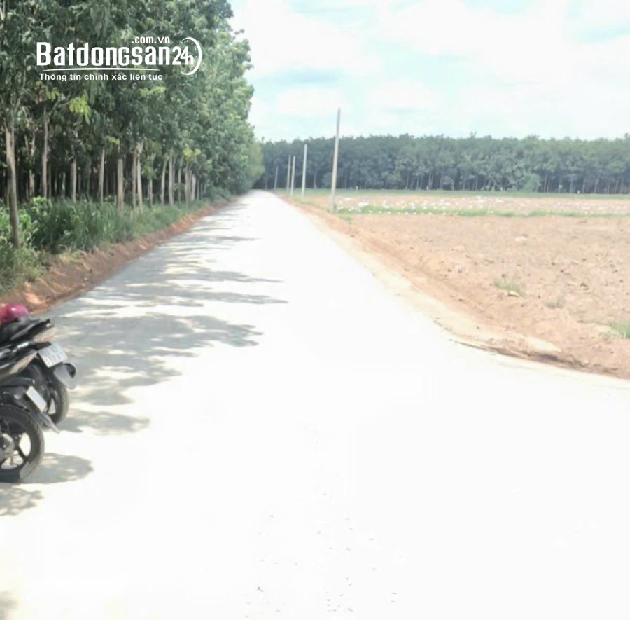 Đất Chơn Thành 500m2 với 450/lô