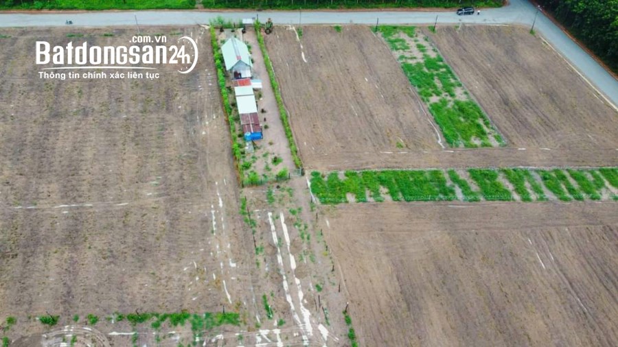 Đất Chơn Thành 500m2 với 450/lô